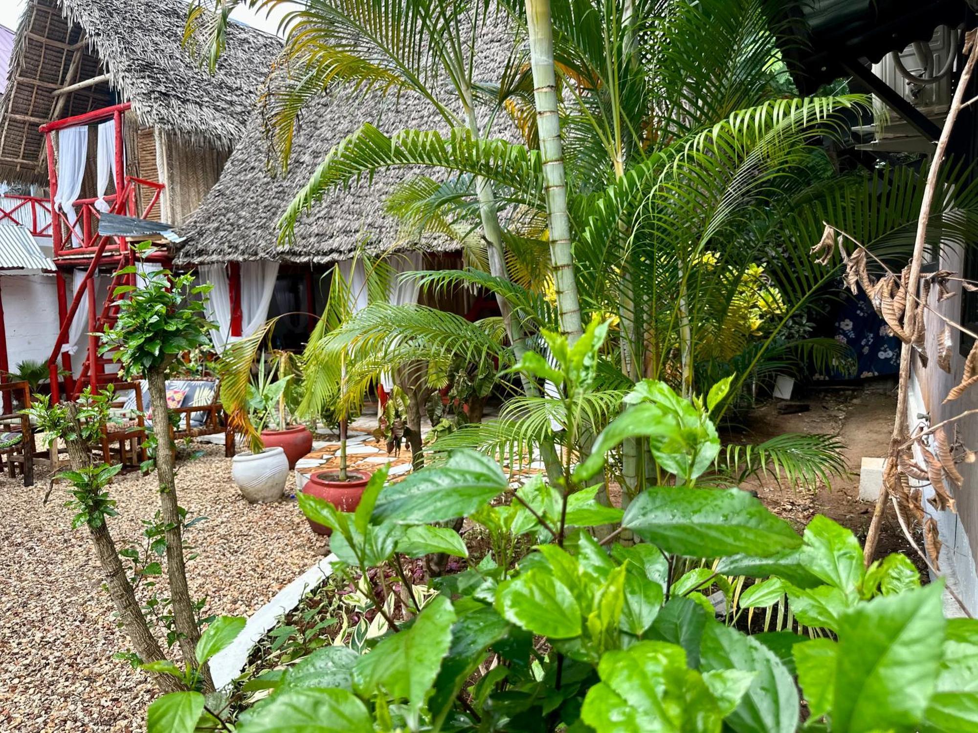 Pole Pole House Hotel Nungwi Buitenkant foto